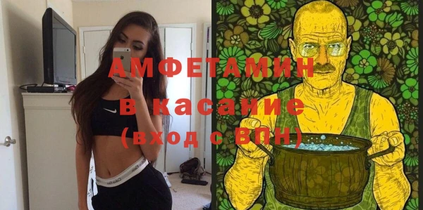 сатива Арсеньев