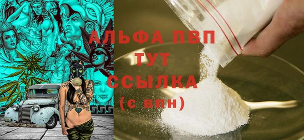 сатива Арсеньев