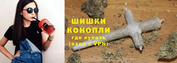 сатива Арсеньев