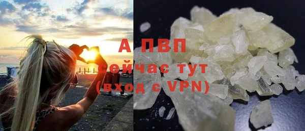 сатива Арсеньев